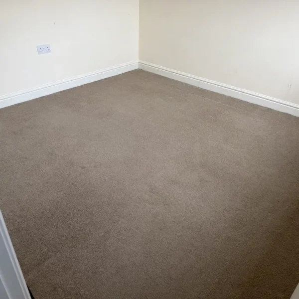 carpet-cleaning-after-1 Carpet after professional cleaning