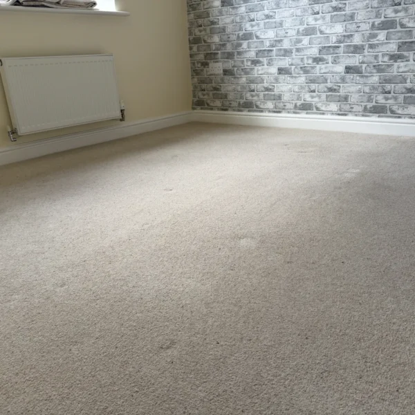 carpet-cleaning-after-2 Carpet after professional cleaning