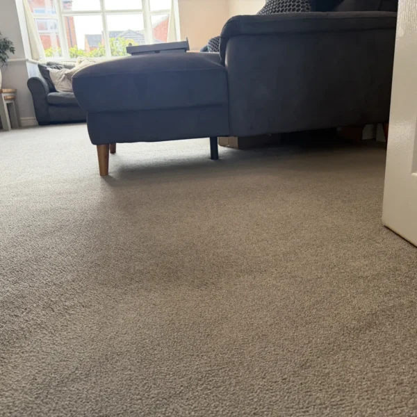 carpet-cleaning-after-3 Carpet after professional cleaning