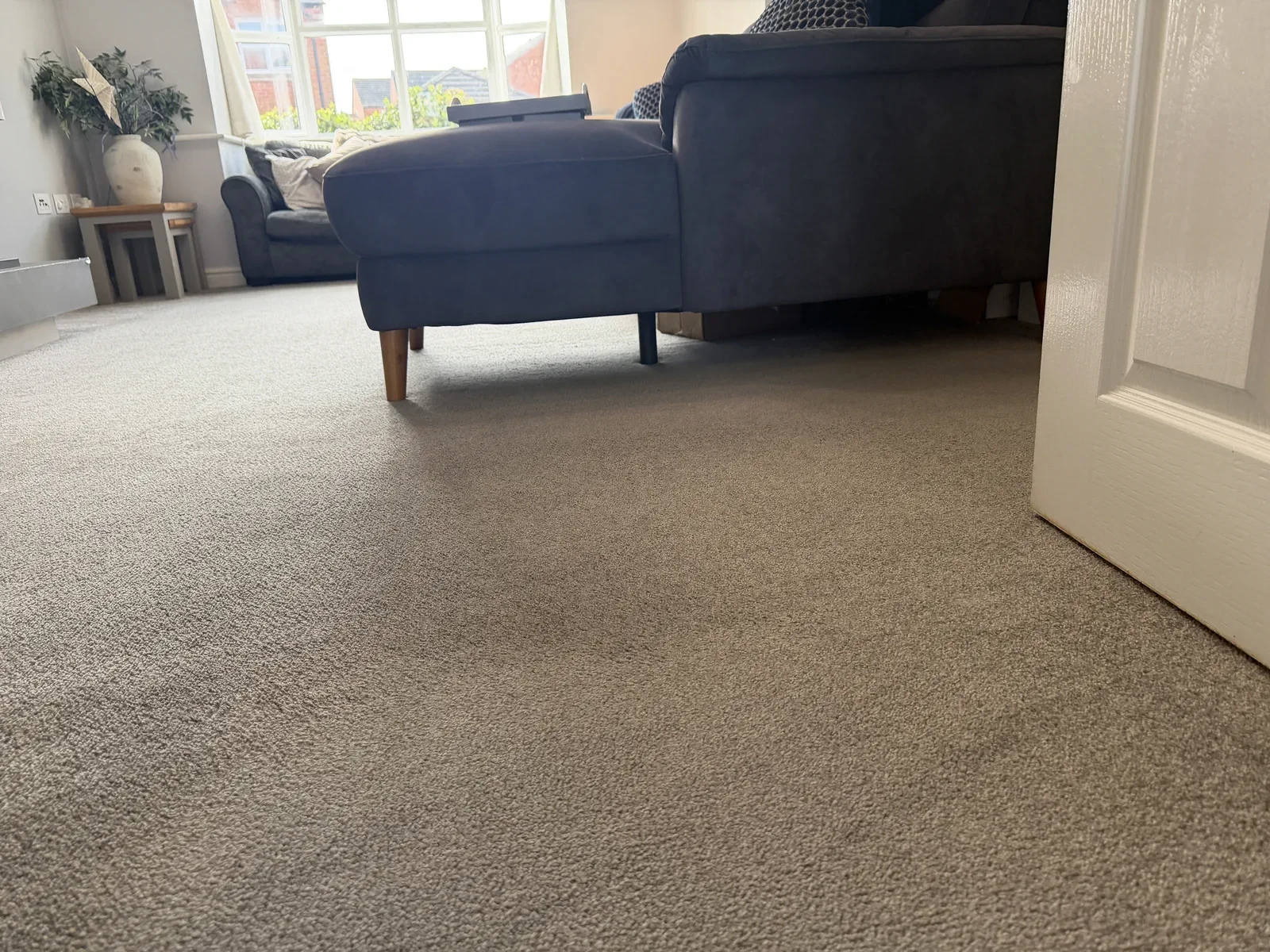 Carpet after professional cleaning