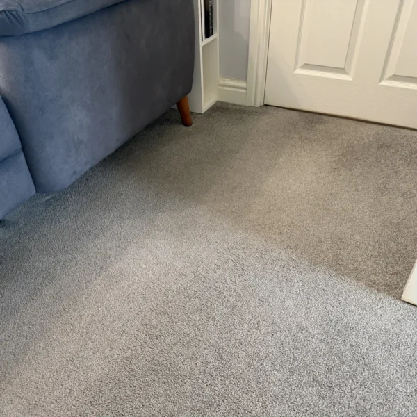 carpet-cleaning-after-4 Carpet after professional cleaning