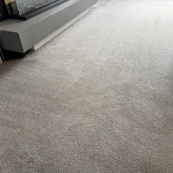 carpet-cleaning-after-5 Carpet after professional cleaning