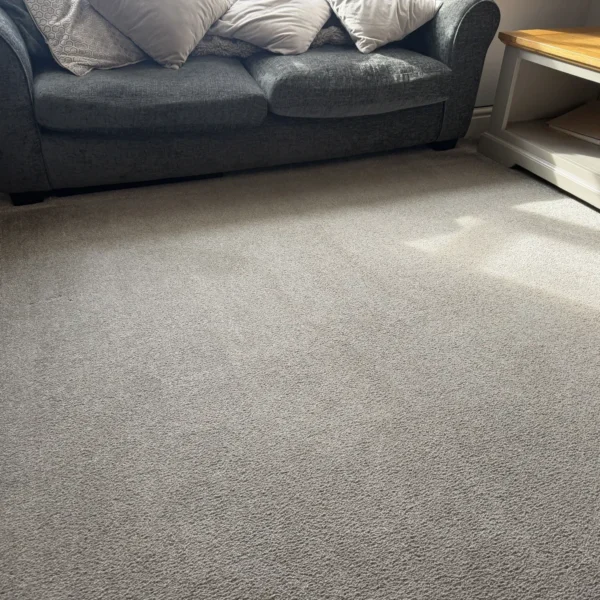 carpet-cleaning-after-8 Carpet after professional cleaning