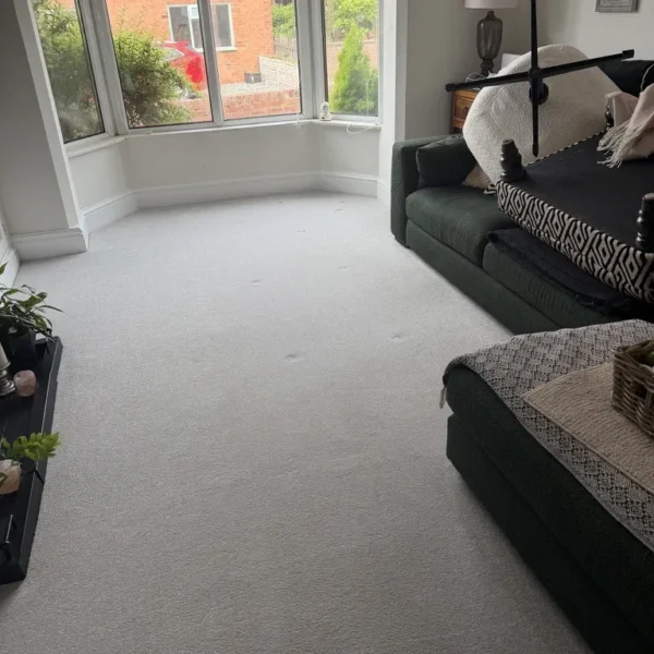 carpet-cleaning-before-4 Carpet before professional cleaning