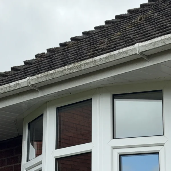 fascia-and-soffit-cleaning-before-7 Fascia & Soffit before professional cleaning