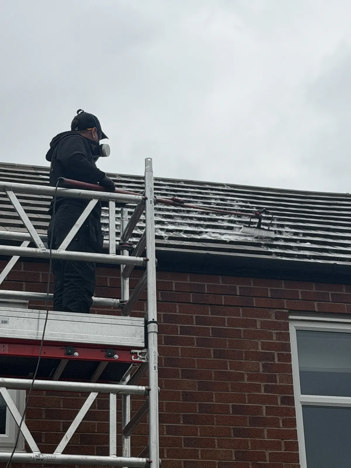 Professional Roof Cleaning